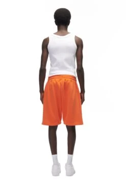 LOGO SHORTS ORANGE(Logo Shorts Orange) -6PM Store 6PM vVERTABRAE Look 06 Sweatshorts male orange 0235