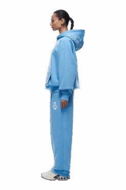 ICONS HOODIE SKY BLUE(Icons Hoodie Sky Blue) -6PM Store tr icon hoodie blue6 min